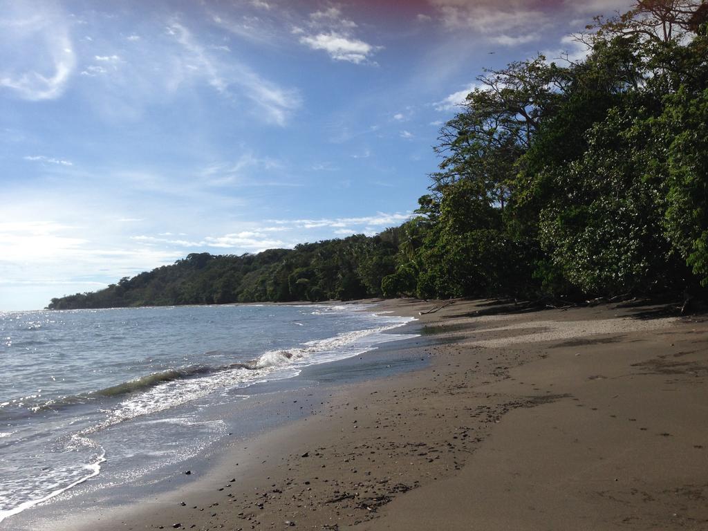 Palm Coast Luxury Rentals Esterillos Este Bagian luar foto