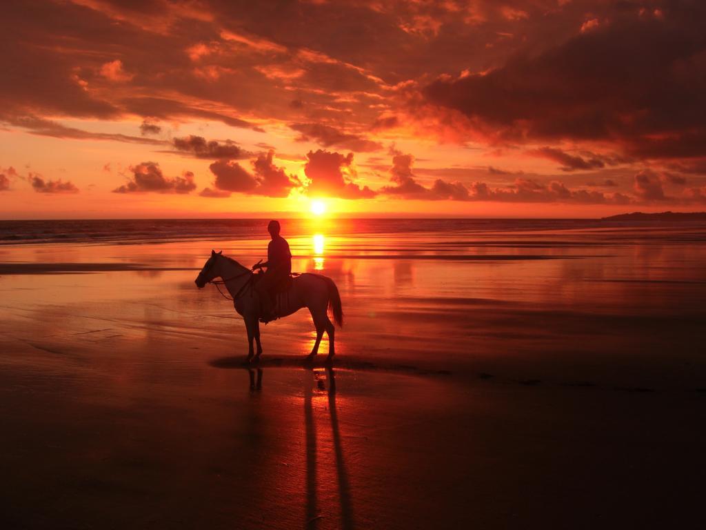 Palm Coast Luxury Rentals Esterillos Este Bagian luar foto