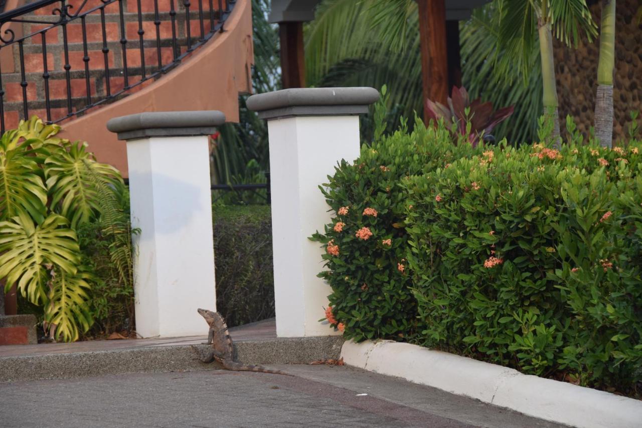 Palm Coast Luxury Rentals Esterillos Este Bagian luar foto