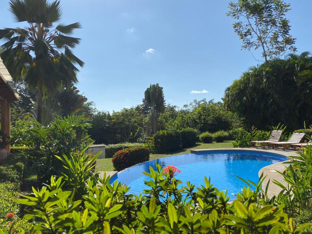 Palm Coast Luxury Rentals Esterillos Este Bagian luar foto